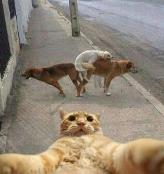 JPG Image, 189KB, 970px × 1024px