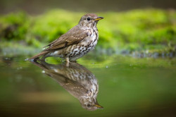 JPG Image, 163KB, 1280px × 853px