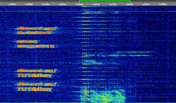 JPG Image, 470KB, 1365px × 803px